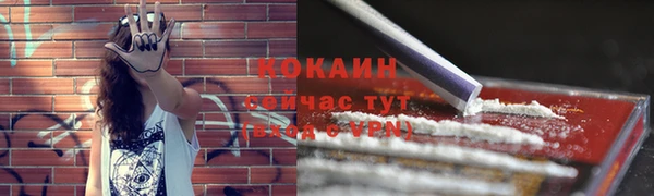 соль курить ск Козловка