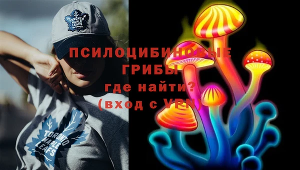 соль курить ск Козловка